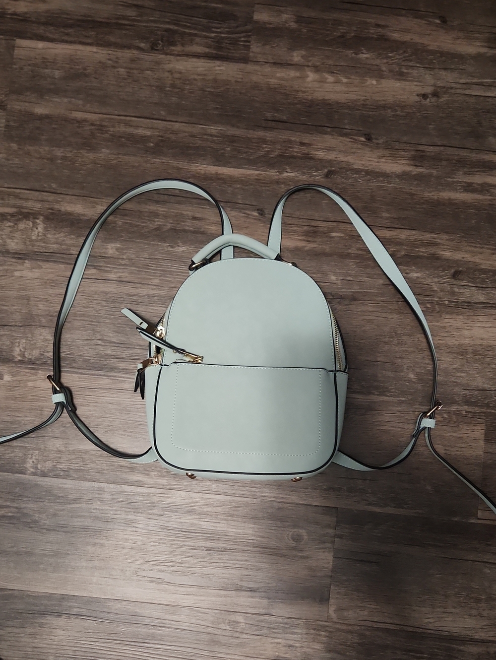 Minimalist Mint Green Women's Backpack Purse